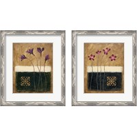 Framed 'Color Field Blossom 2 Piece Framed Art Print Set' border=