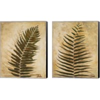 Framed 'Ferns 2 Piece Canvas Print Set' border=
