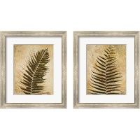 Framed 'Ferns 2 Piece Framed Art Print Set' border=