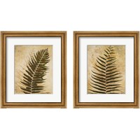Framed Ferns 2 Piece Framed Art Print Set
