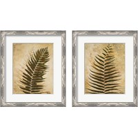 Framed Ferns 2 Piece Framed Art Print Set