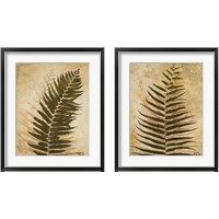 Framed 'Ferns 2 Piece Framed Art Print Set' border=