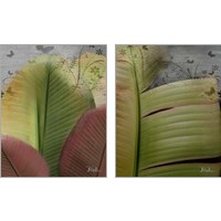 Framed 'Butterfly Palm 2 Piece Art Print Set' border=