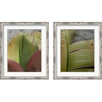 Framed 'Butterfly Palm 2 Piece Framed Art Print Set' border=
