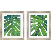 Framed 'Tropical Leaf with Blue 2 Piece Framed Art Print Set' border=