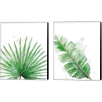 Framed Palm Frond 2 Piece Canvas Print Set