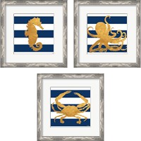 Framed 'Sea Creatures on Stripes 3 Piece Framed Art Print Set' border=