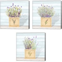 Framed Lavender and Wood Square 3 Piece Canvas Print Set