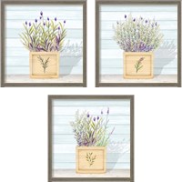 Framed 'Lavender and Wood Square 3 Piece Framed Art Print Set' border=