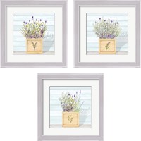 Framed 'Lavender and Wood Square 3 Piece Framed Art Print Set' border=