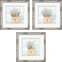 Framed 'Lavender and Wood Square 3 Piece Framed Art Print Set' border=