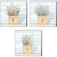 Framed Lavender and Wood Square 3 Piece Canvas Print Set