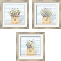 Framed 'Lavender and Wood Square 3 Piece Framed Art Print Set' border=