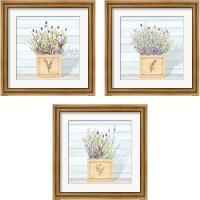 Framed 'Lavender and Wood Square 3 Piece Framed Art Print Set' border=