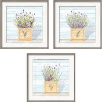 Framed 'Lavender and Wood Square 3 Piece Framed Art Print Set' border=