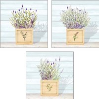 Framed 'Lavender and Wood Square 3 Piece Art Print Set' border=