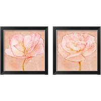 Framed 'Sweet Peach Poppy 2 Piece Framed Art Print Set' border=