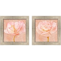 Framed Sweet Peach Poppy 2 Piece Framed Art Print Set