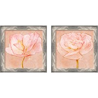 Framed 'Sweet Peach Poppy 2 Piece Framed Art Print Set' border=