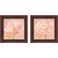 Framed Sweet Peach Poppy 2 Piece Framed Art Print Set