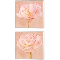 Framed 'Sweet Peach Poppy 2 Piece Canvas Print Set' border=