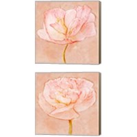 Framed 'Sweet Peach Poppy 2 Piece Canvas Print Set' border=