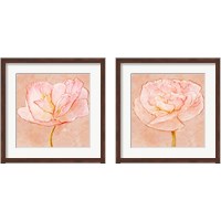 Framed 'Sweet Peach Poppy 2 Piece Framed Art Print Set' border=