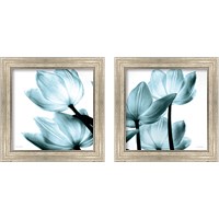 Framed 'Translucent Tulips 2 Piece Framed Art Print Set' border=