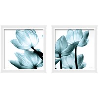 Framed Translucent Tulips 2 Piece Framed Art Print Set