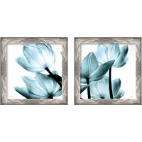 Framed 'Translucent Tulips 2 Piece Framed Art Print Set' border=