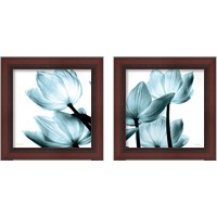 Framed Translucent Tulips 2 Piece Framed Art Print Set