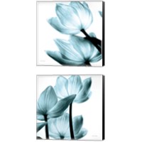 Framed 'Translucent Tulips 2 Piece Canvas Print Set' border=