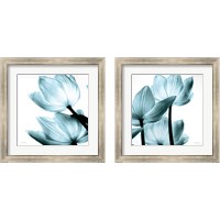 Framed 'Translucent Tulips 2 Piece Framed Art Print Set' border=