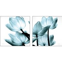 Framed 'Translucent Tulips 2 Piece Art Print Set' border=