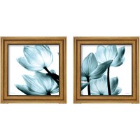 Framed 'Translucent Tulips 2 Piece Framed Art Print Set' border=