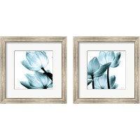 Framed 'Translucent Tulips 2 Piece Framed Art Print Set' border=