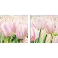 Framed 'Primavera  2 Piece Art Print Set' border=