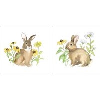 Framed 'Wildflower Bunnies 2 Piece Art Print Set' border=