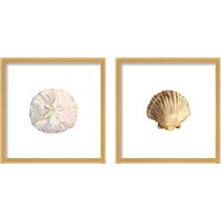 Framed 'Oceanum Shells White 2 Piece Framed Art Print Set' border=