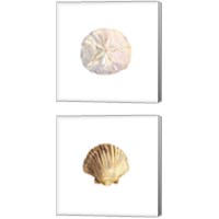 Framed 'Oceanum Shells White 2 Piece Canvas Print Set' border=