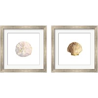 Framed Oceanum Shells White 2 Piece Framed Art Print Set