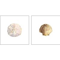 Framed 'Oceanum Shells White 2 Piece Art Print Set' border=