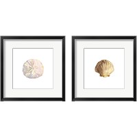 Framed 'Oceanum Shells White 2 Piece Framed Art Print Set' border=