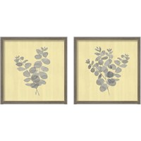 Framed Natural Inspiration Eucalyptus Panel Gray & Yellow 2 Piece Framed Art Print Set