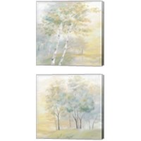 Framed 'Sunny Glow 2 Piece Canvas Print Set' border=