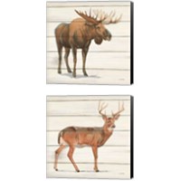 Framed 'Northern Wild 2 Piece Canvas Print Set' border=