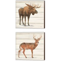 Framed 'Northern Wild 2 Piece Canvas Print Set' border=