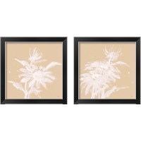 Framed 'Echinacea  2 Piece Framed Art Print Set' border=