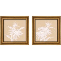 Framed 'Echinacea  2 Piece Framed Art Print Set' border=