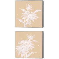 Framed 'Echinacea  2 Piece Canvas Print Set' border=